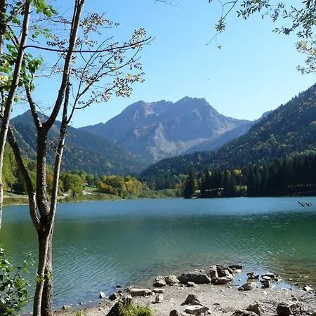 Les Moineaux 2* Bellevaux
