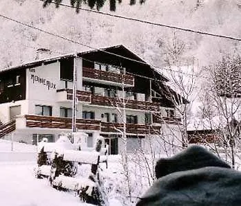 Отель Les Moineaux 2*