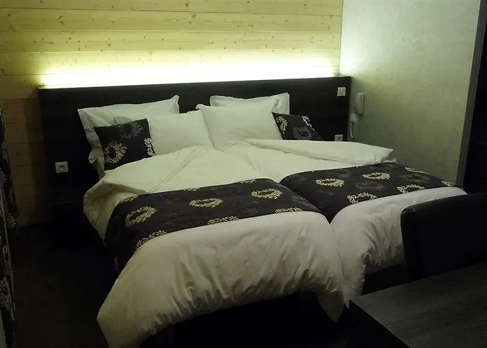 Les Moineaux Hotel Bellevaux